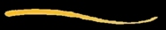 Swish logo